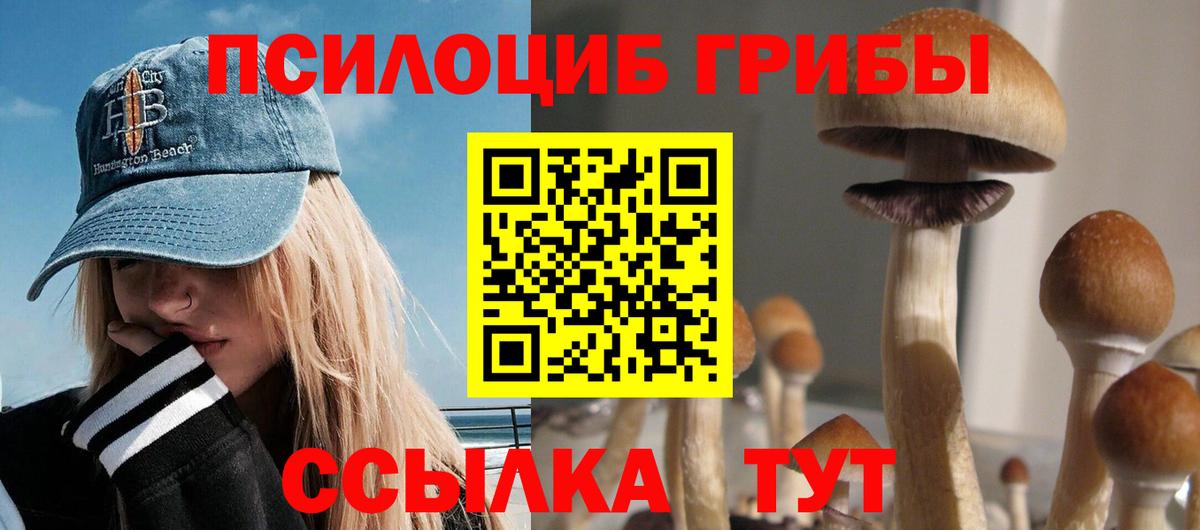 Псилоцибиновые грибы Psilocybe  Вход с VPN  Симферополь 